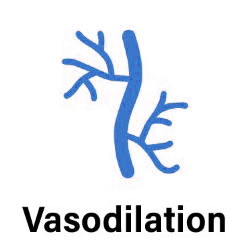 Vasodilation